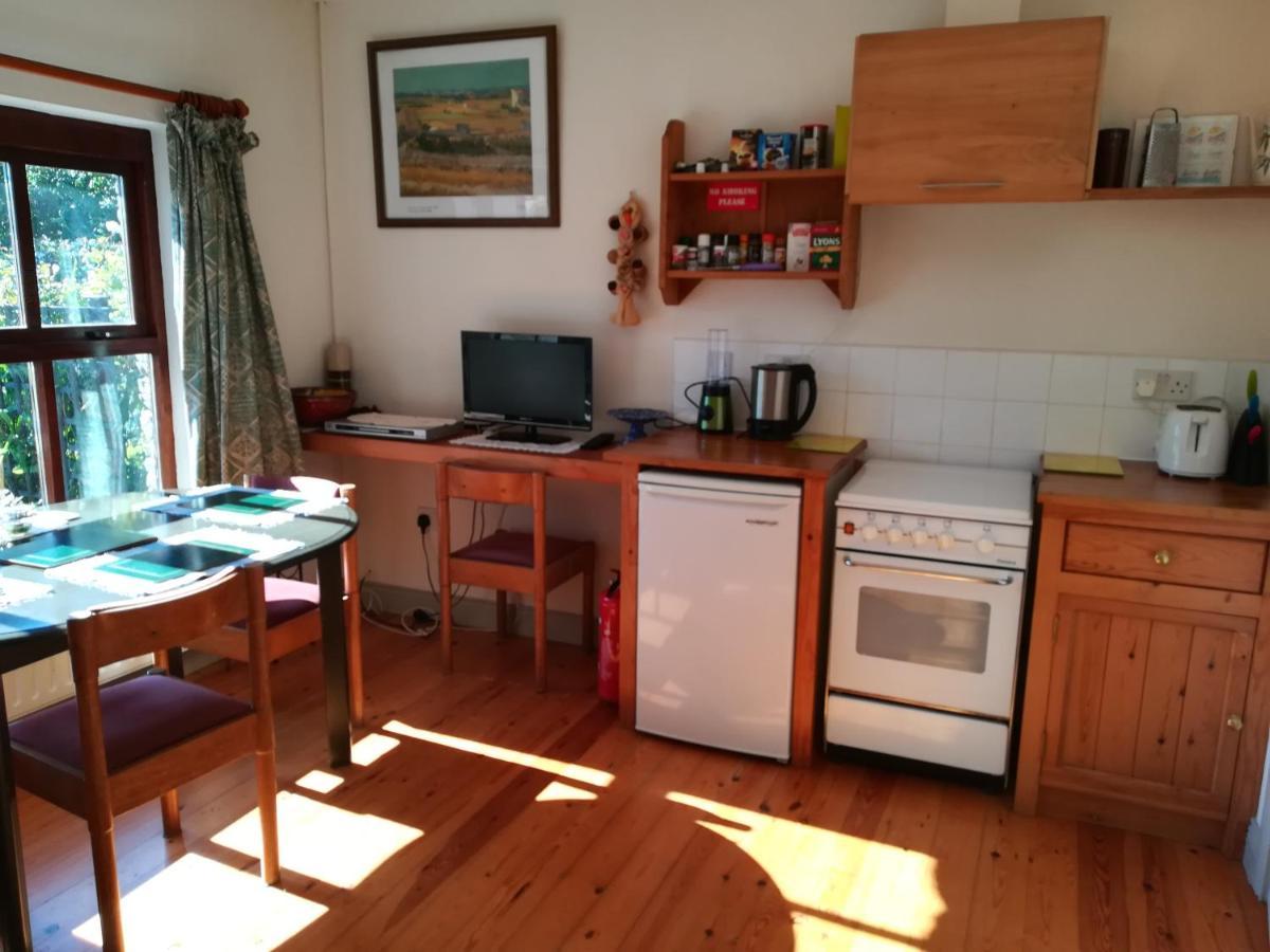 Lovely Sea View Apartment In Rineen - 4 Guests Скибберин Экстерьер фото